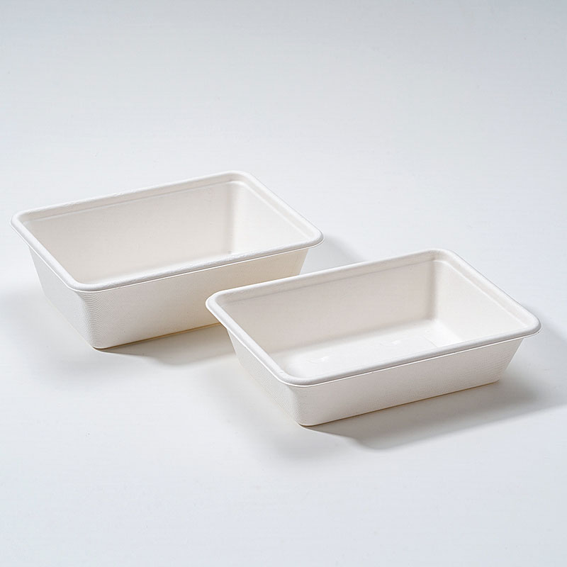 Bagasse Square Box